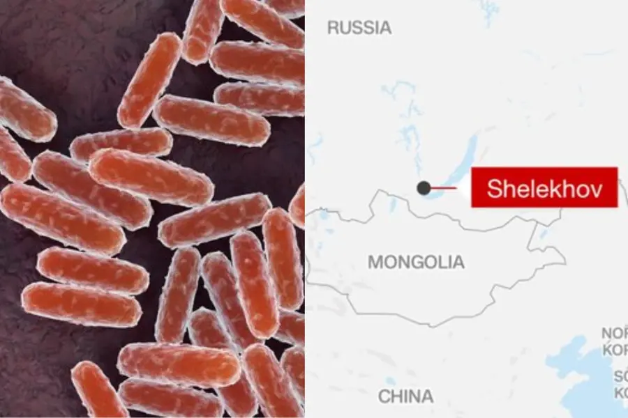 Siberia virus