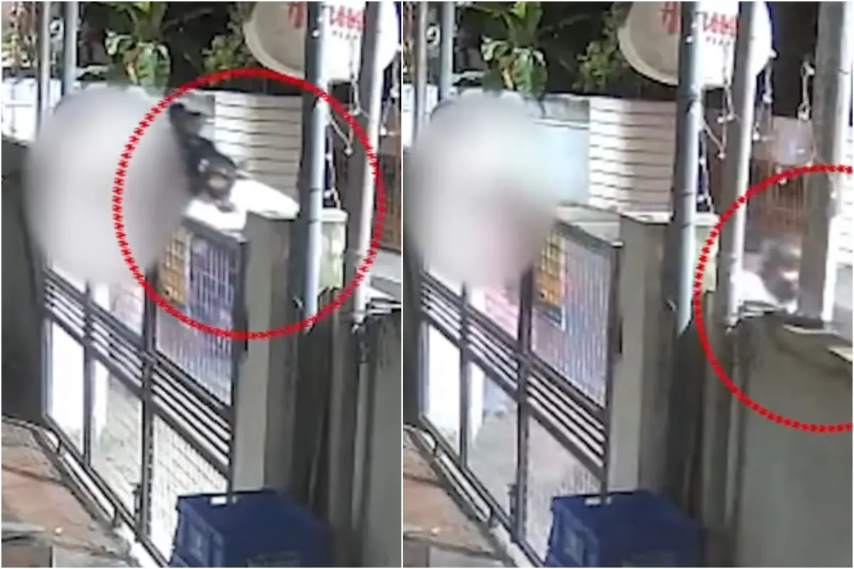 സംഭവത്തിന്റെ ദൃശ്യം | Photo: Screen grab/ Mathrubhumi News