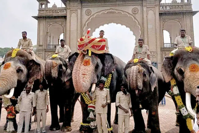 ഗജരാജൻ അഭിമന്യുവിന് കൊട്ടാര കവാടത്തിൽ സ്വീകരണം