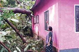 മരം കടപുഴകിവീണ് രണ്ടുവീടുകൾക്ക് നാശം