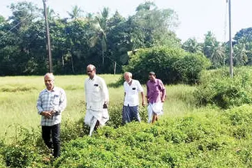 താമസം നഗരസഭയിൽ; സഞ്ചാരം പഞ്ചായത്ത് ചുറ്റി