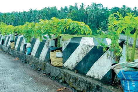 പൊറ്റശ്ശേരിയിൽ വേറിട്ട കൃഷിമാതൃക
