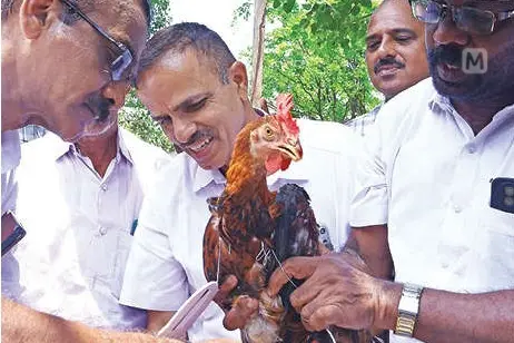 സിപിഎം മുൻ ജില്ലാ സെക്രട്ടറി സുരേഷ്ബാബുവിനെതിരേ പൂവൻകോഴിയെ പറത്തിവിട്ട് കോൺഗ്രസ് പ്രതിഷേധം