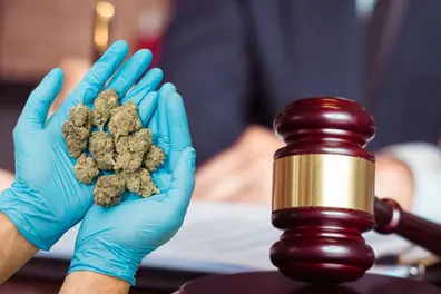 Could Ganja rules be eased for medicinal use? Supreme Court's stand triggers fresh debate