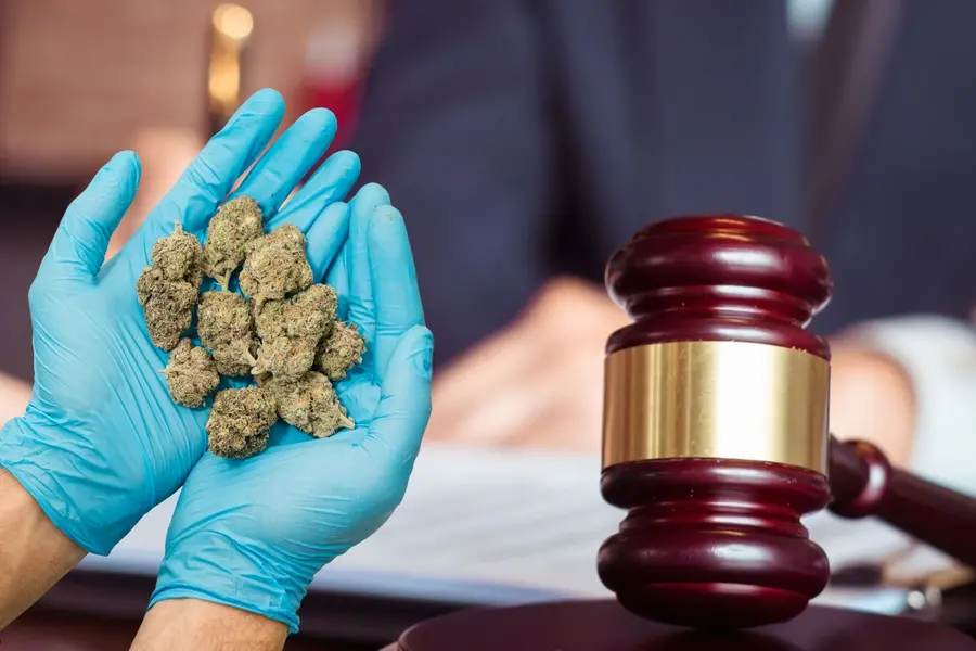 Could Ganja rules be eased for medicinal use? Supreme Court's stand triggers fresh debate