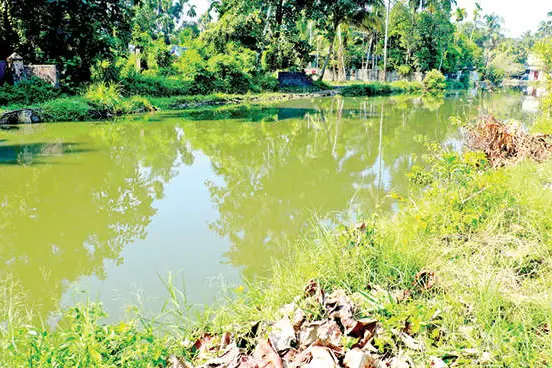 സംരക്ഷിക്കണം വൈപ്പിൻകരയിലെ തോടുകൾ