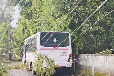 കാറ്റിലും മഴയിലും ചാലക്കുടിയിൽ വ്യാപക നഷ്ടങ്ങൾ