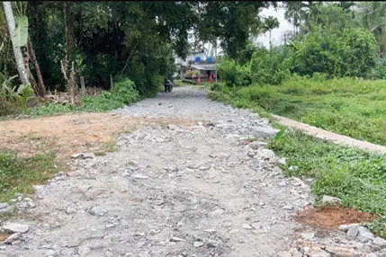 പകരാവൂർ-കുളക്കാട് റോഡ് നാട്ടുകാർ നന്നാക്കി