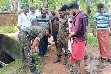 അത് പുലിയല്ല, കാട്ടുപൂച്ച