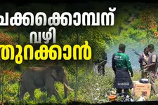 പഴയ പാതകളിലേക്ക് ആനക്കൂട്ടങ്ങൾ മടങ്ങുമ്പോൾ; ചിന്നക്കനാൽ കാട്ടുന്ന പരിഹാരപാത