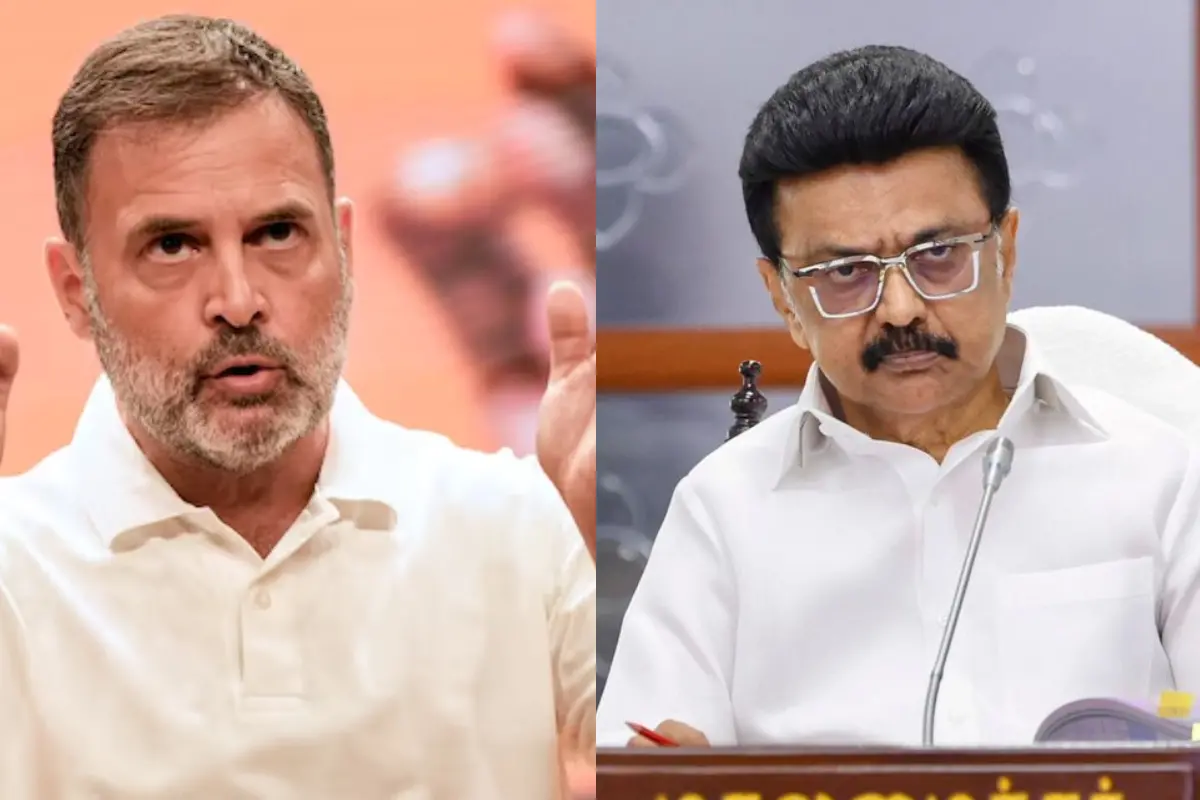 രാഹുൽ ഗാന്ധി, എം.കെ സ്റ്റാലിൻ