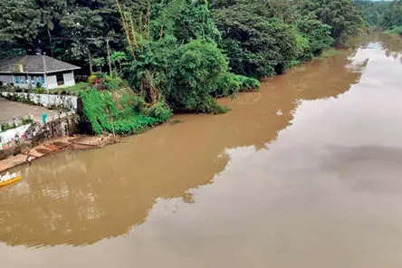മഴ കനക്കുന്നു; കല്ലടയാറ്റിലും തോടുകളിലും വെള്ളമുയരുന്നു