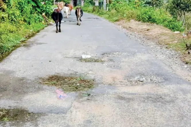 വല്ലാത്തൊരു യാത്രയാണ്