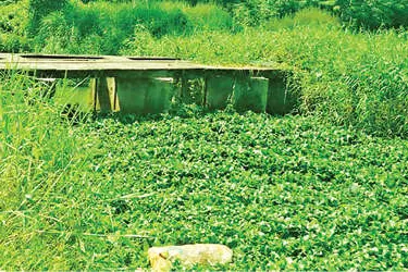 മാലിന്യം നീക്കണം പെരുംതോടൊഴുകണം