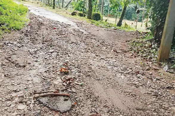 കനത്ത മഴ; മീൻവല്ലത്ത് റോഡിലെ ടാർ ഒഴുകിപ്പോയി