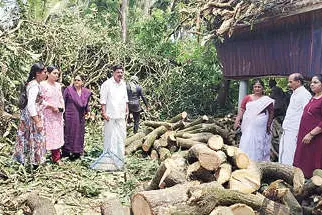 ചുഴലിക്കാറ്റും മഴയും; ആറളത്തുംകാരാപറമ്പിലും ലക്ഷങ്ങളുടെ നാശം
