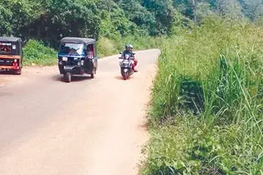 കാടുമൂടിയ റോഡ്; ചാക്കിൽ മാലിന്യവും