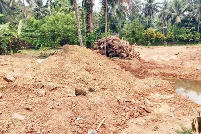 എങ്ങുമെത്താതെ ജെൻഡർ കോംപ്ലക്സ്