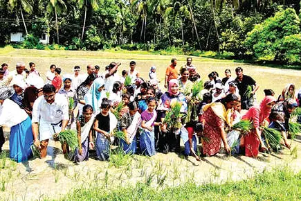 കുട്ടികളെത്തി, കൃഷിയുടെ ബാലപാഠം പഠിക്കാൻ