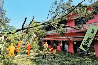 വീടിനു മുകളിലേക്ക് മരം വീണു