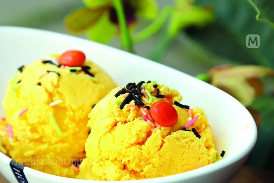Is your ice cream safe? Karnataka inspects 45 units, seizes expired products