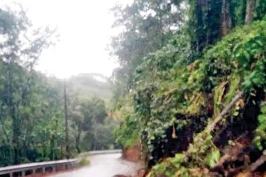 തലയ്ക്കുമീതെ ചാഞ്ഞ് ദുരന്തം...