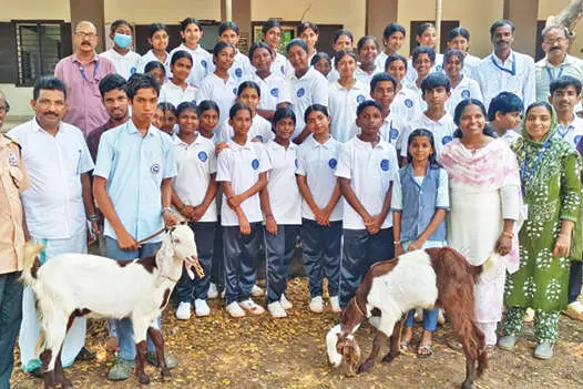 സൈറാബാനു ആടുകളെ നൽകി; തന്റെ വിദ്യാർഥികൾക്ക് ജീവിതമാർഗമായി