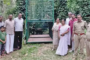 പുലിയെ പിടിക്കാൻ കൂട് സ്ഥാപിച്ചു
