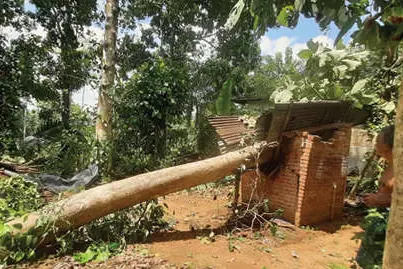 വിറപ്പിച്ചു