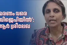 ഡിജിപിയോട് കോൺസ്റ്റബിളിന്റെ ജോലി ചെയ്യാൻ പറഞ്ഞാൽ ബുദ്ധിമുട്ടുണ്ടാകും: ആർ ശ്രീലേഖ