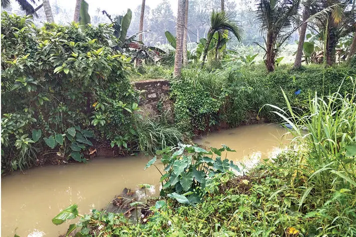 മുറിയത്തോട്ടം പാലം പുനർനിർമാണം വൈകുന്നു