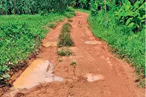 മരുതമൺപള്ളി-നാൽക്കവല ഏലാ റോഡ് തകർന്നു