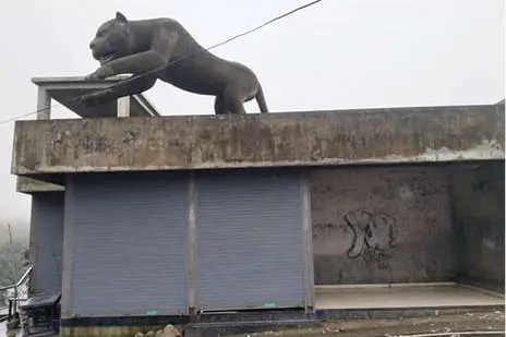 ശരിക്കും നോക്കുകുത്തി(വാച്ച് ടവർ)