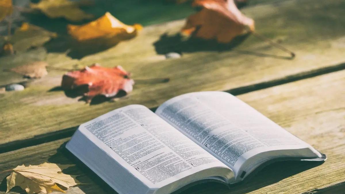 Word of the Day October 12, Fuddy-duddy: Meaning, Pronunciation ...