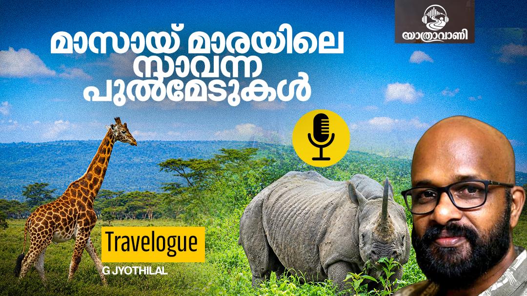 സിംഹരാജന്റെ തൊട്ടരികിൽ; മസായി മാരയിലെ സഫാരി | യാത്രാവാണി | Podcast