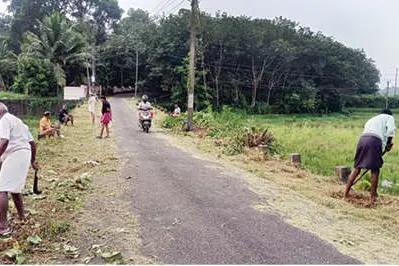 കാടുപിടിച്ച വഴി ഇനി പൂവണിയും; കാരിക്കോട് മാതൃകയായി