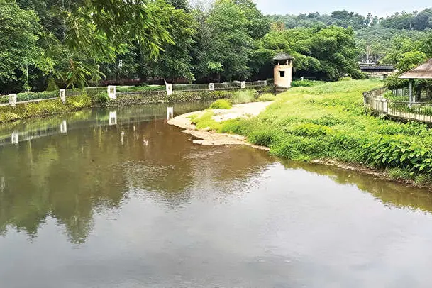 ചേറുമ്പ് ഇക്കോ വില്ലേജിന് പ്രതീക്ഷ