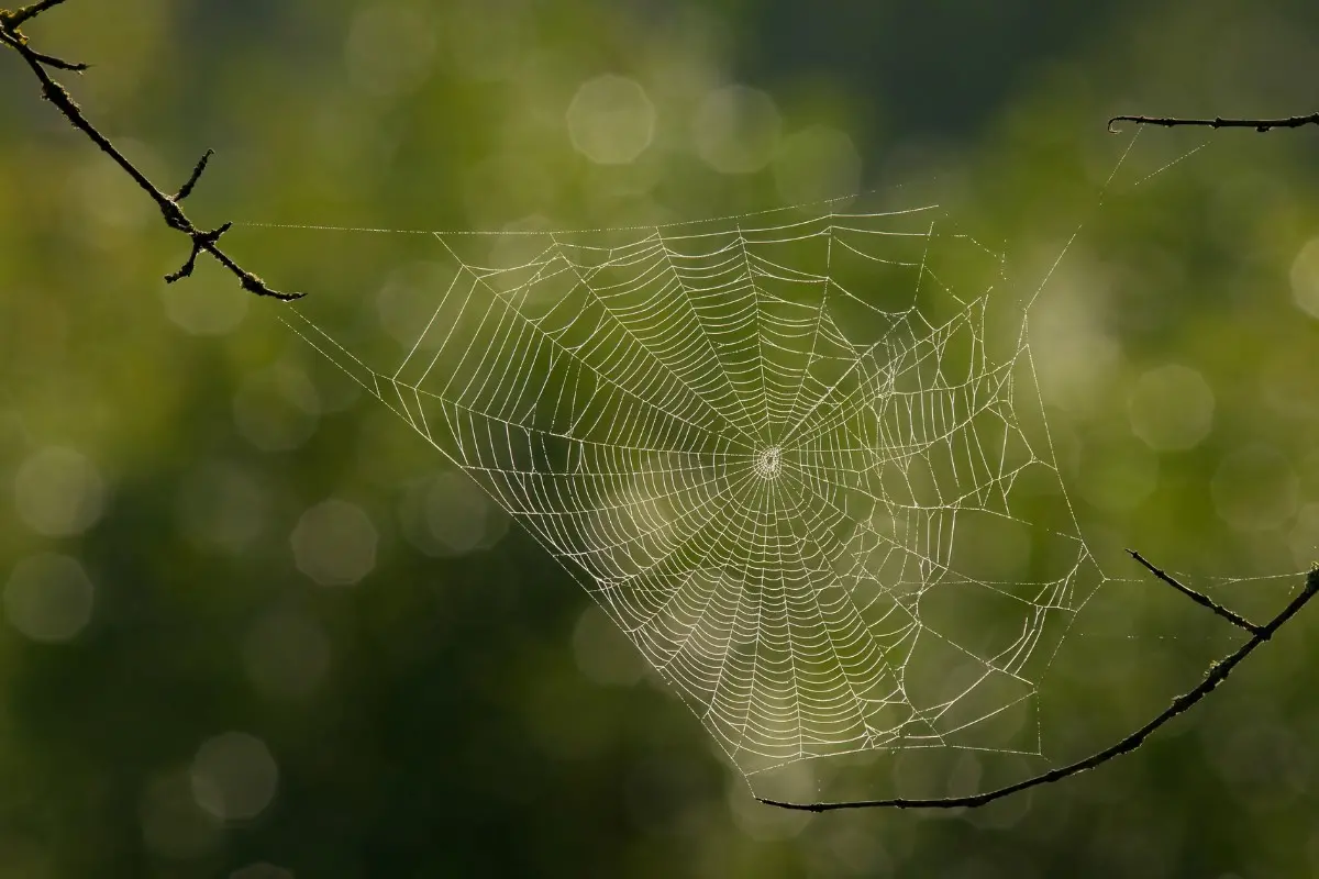Representational image | Canva