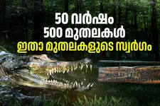 വിവാഹ സമ്മാനം കൊണ്ടൊരുക്കിയ മുതല സംരക്ഷണ കേന്ദ്രം | MADRAS CROCODILE BANK