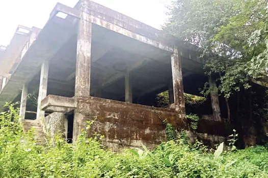 ഹോസ്പിറ്റാലിറ്റി ഇൻസ്റ്റിറ്റ്യൂട്ട് ‘ദാ,കാടിനുള്ളിലാണ്’