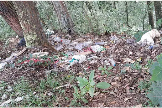 മാലിന്യപ്പെട്ടിയായി മാട്ടുപ്പെട്ടി