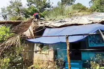 കാട്ടാന വീടിന് മുകളിലേക്ക് തെങ്ങ് മറിച്ചിട്ടു; വയോധിക രക്ഷപ്പെട്ടത് തലനാരിഴയ്ക്ക്