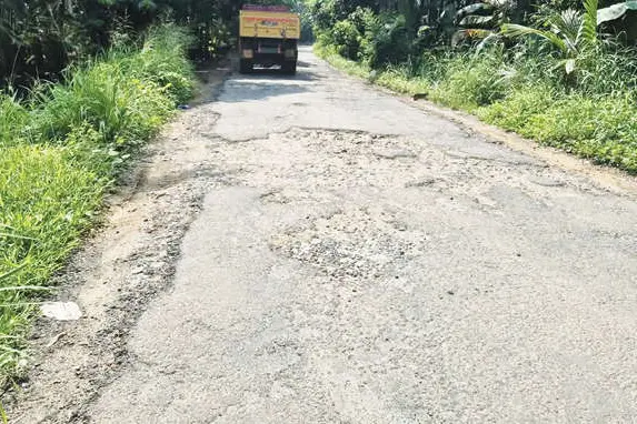 കുഴികൾ നിറഞ്ഞ് പള്ളിപ്പുറം-പട്ടാമ്പി തീരദേശ റോഡ്