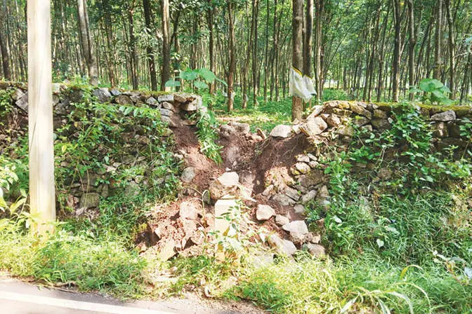കരിമ്പ മുണ്ടനാട് കാട്ടാനകളുടെ സ്ഥിരം താവളമാകുന്നു