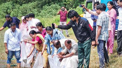 ബാണാസുര സാഗറിൽ മത്സ്യവിത്ത് നിക്ഷേപിച്ചു