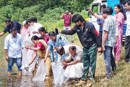 ബാണാസുര സാഗറിൽ മത്സ്യവിത്ത് നിക്ഷേപിച്ചു