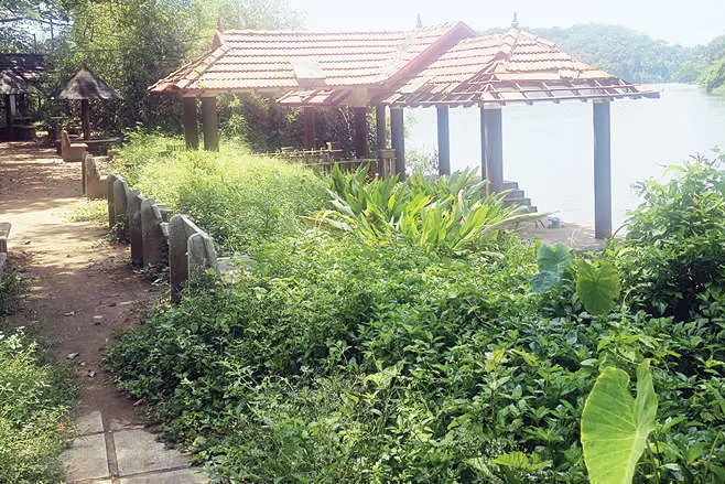 കാടിനുള്ളിൽ മുനമ്പുകടവിലെ പാർക്ക്