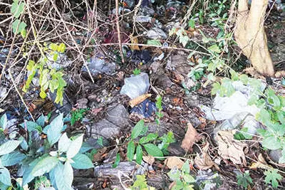 മമ്മാക്കുന്ന് പാലത്തിന് സമീപം മാലിന്യം കുമിയുന്നു