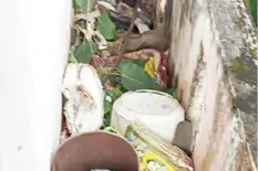 മാലിന്യ പ്രശ്നം: ക്വാർട്ടേഴ്സ് ഉടമയ്ക്കെതിരേ ആരോഗ്യ വകുപ്പ് കേസെടുത്തു