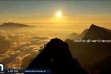 മഴക്കാലത്ത് ഇടുക്കിയിലെ കാഴ്ചകളുടെ പറുദീസ; സഞ്ചാരികളെ ആകർഷിച്ച് വെള്ളച്ചാട്ടങ്ങൾ